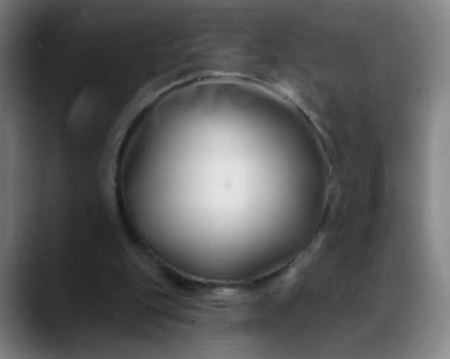 X0000088710151200706141455