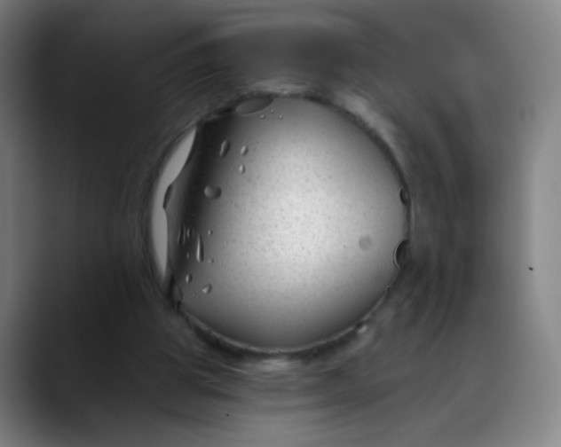 X0000088710153200706141455