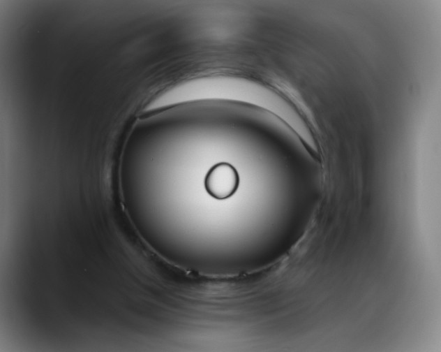 X0000088710154200706141455