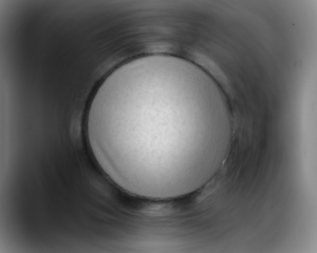 X0000088710155200706141455