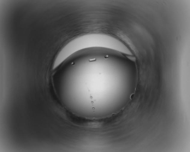 X0000088710161200706141455