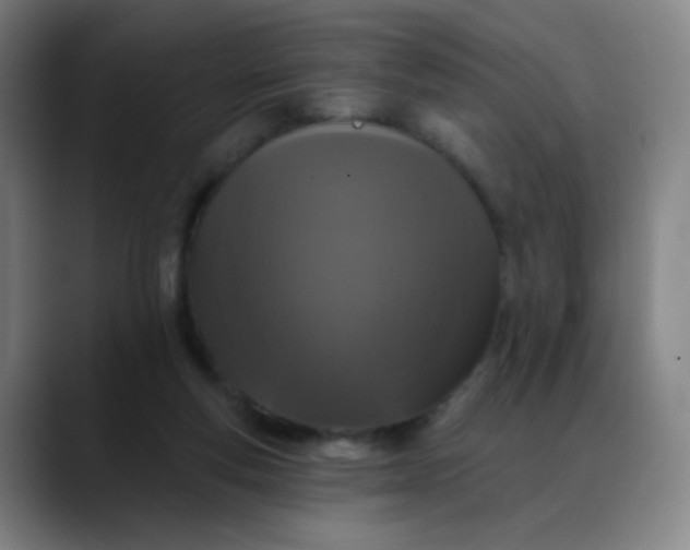 X0000088710163200706141455