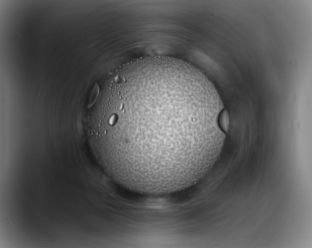 X0000088710169200706141455