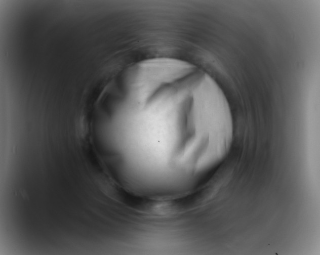 X0000088710173200706141455