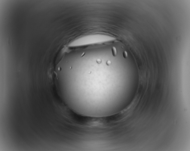 X0000088710175200706141455