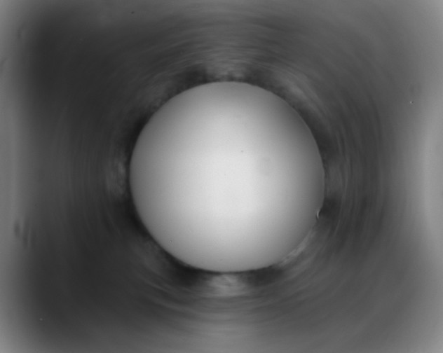 X0000088710183200706141455