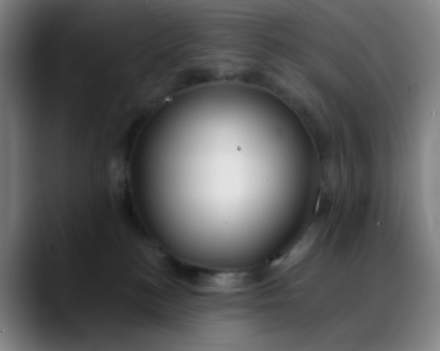 X0000088710184200706141455