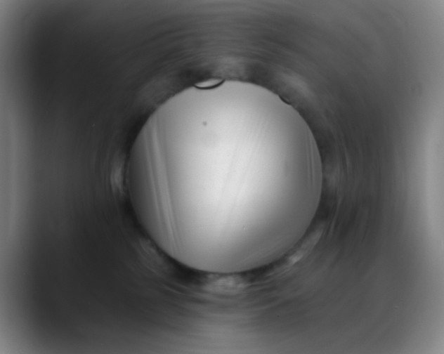 X0000088710185200706141455