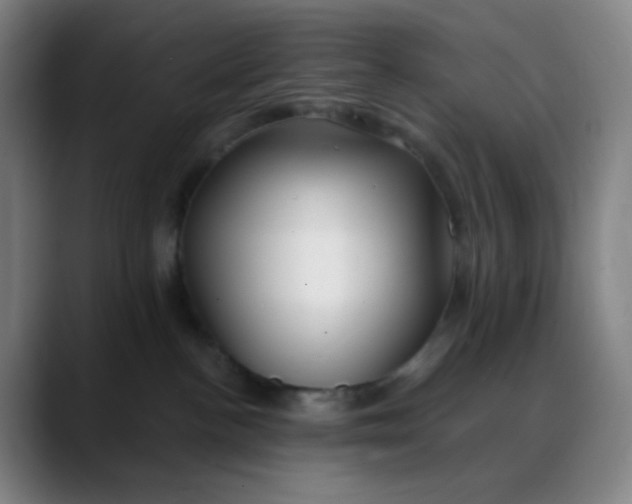 X0000088710188200706141455