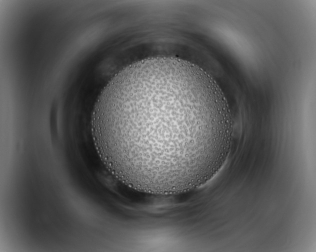 X0000088710191200706141455