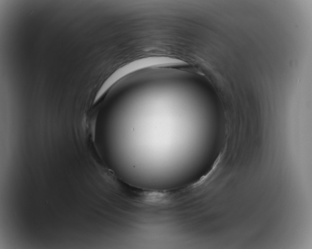 X0000088710192200706141455