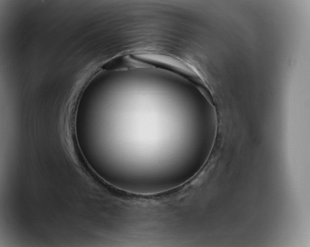 X0000088710193200706141455