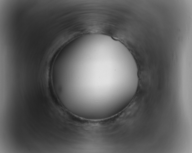 X0000088710194200706141455