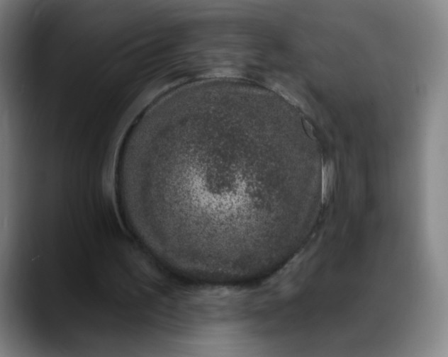 X0000088710195200706141455