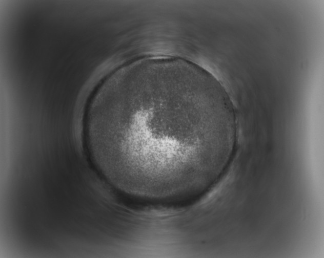 X0000088710199200706141454