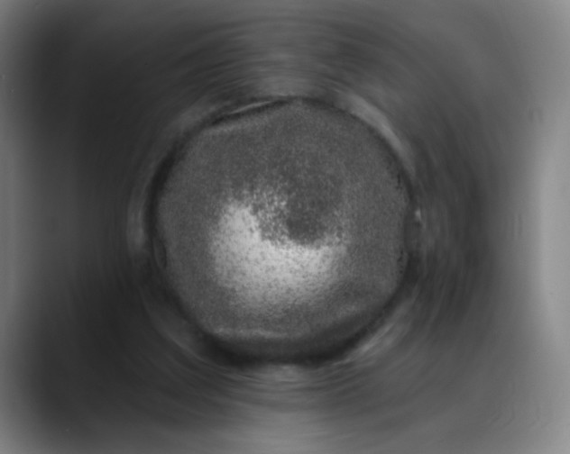 X0000088710203200706141454