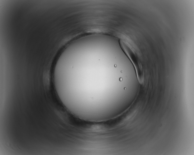 X0000088710204200706141454