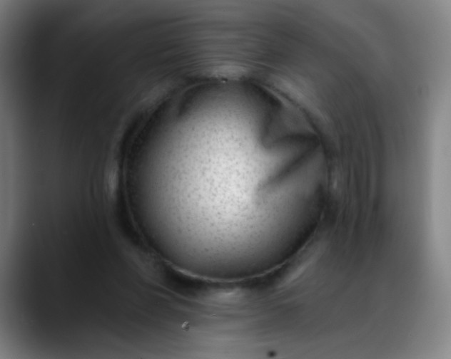 X0000088710206200706141454