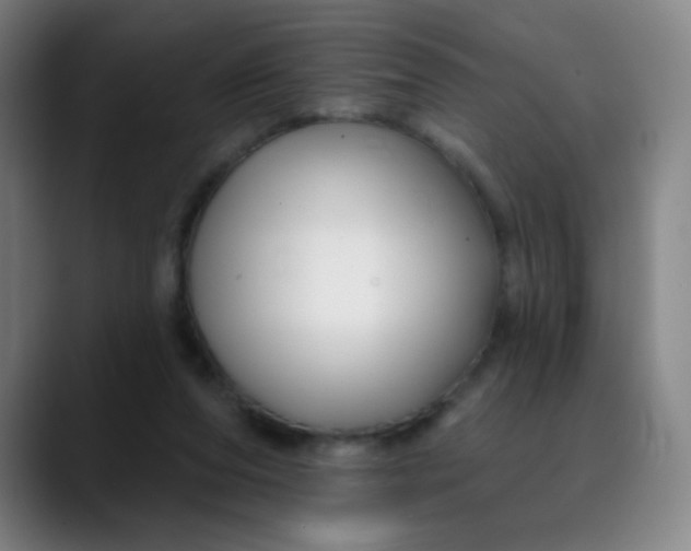 X0000088710208200706141454