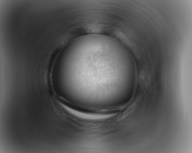 X0000088710209200706141454