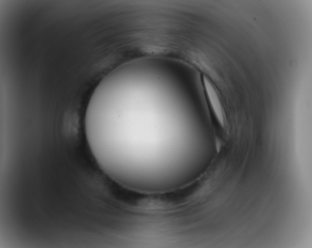 X0000088710211200706141454