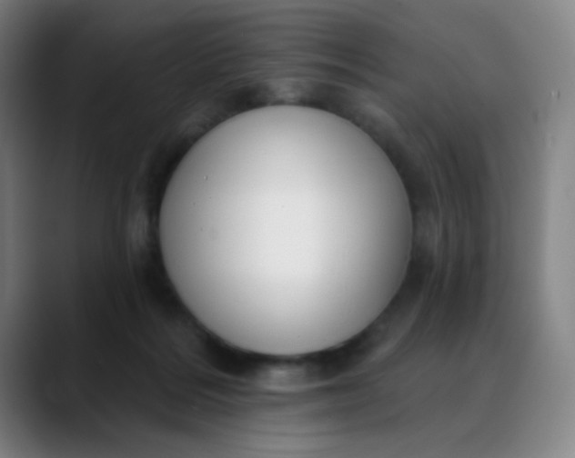 X0000088710220200706141454