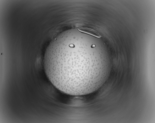 X0000088710222200706141454