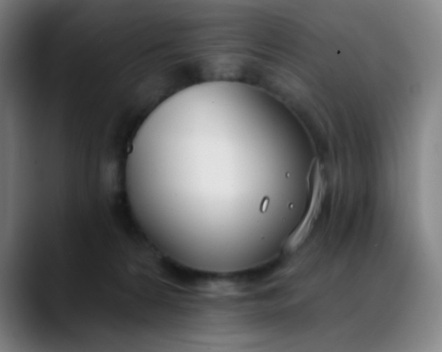 X0000088710224200706141454