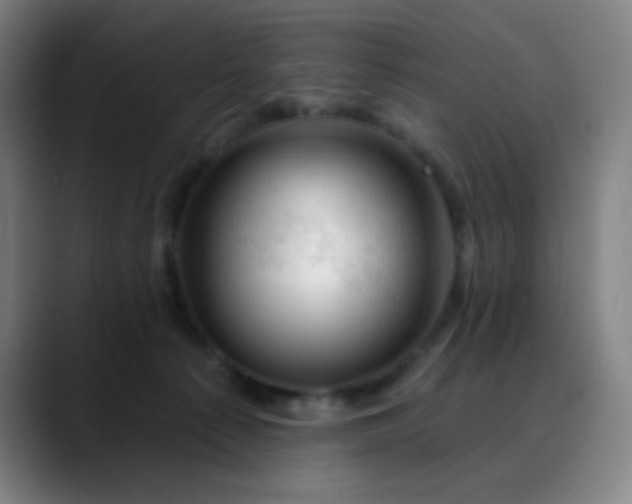 X0000088710225200706141454