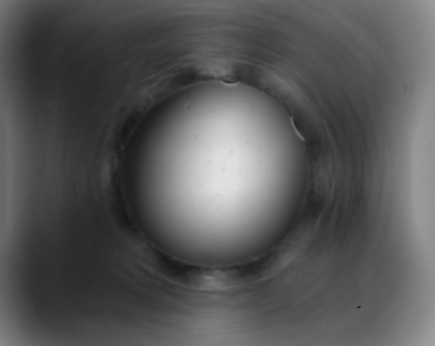 X0000088710229200706141454