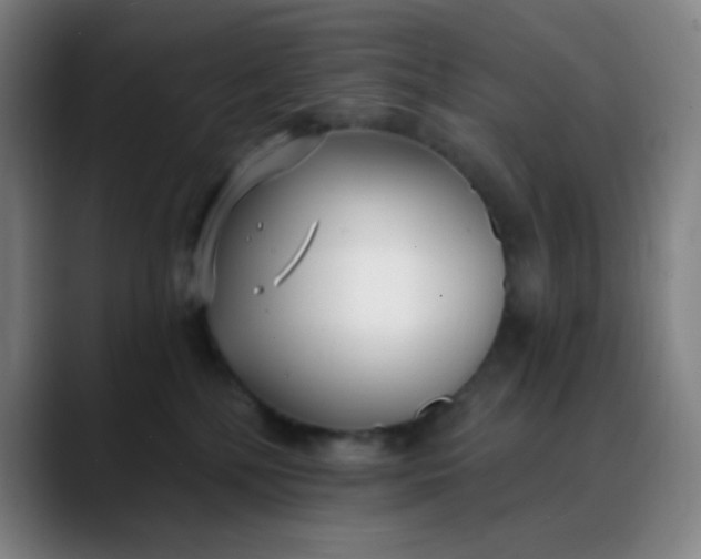 X0000088710232200706141454