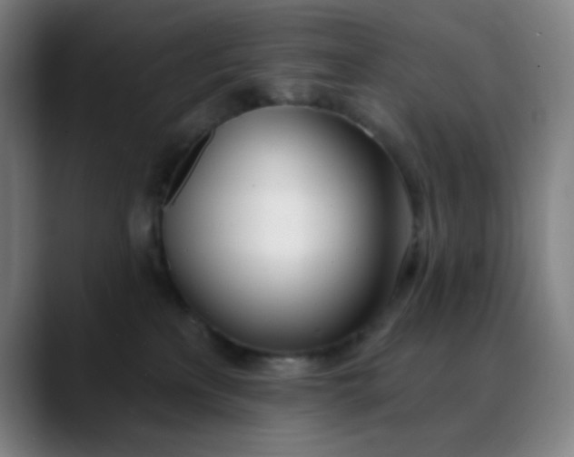 X0000088710233200706141454