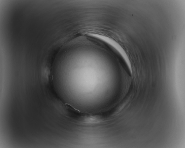 X0000088710235200706141454