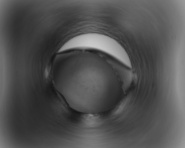 X0000088710239200706141454