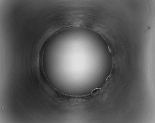 X0000088710242200706141453