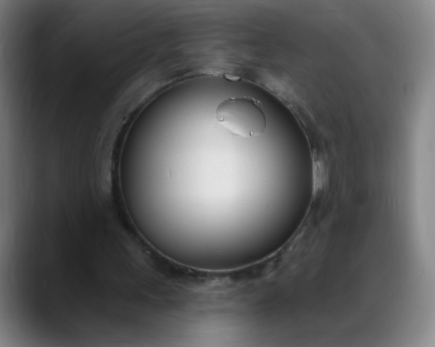 X0000088710243200706141453