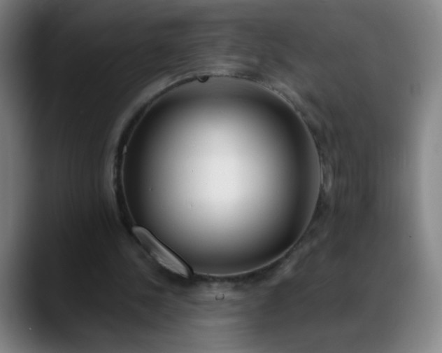 X0000088710244200706141453