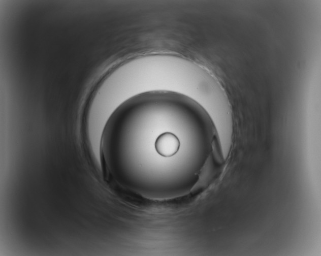 X0000088710248200706141454