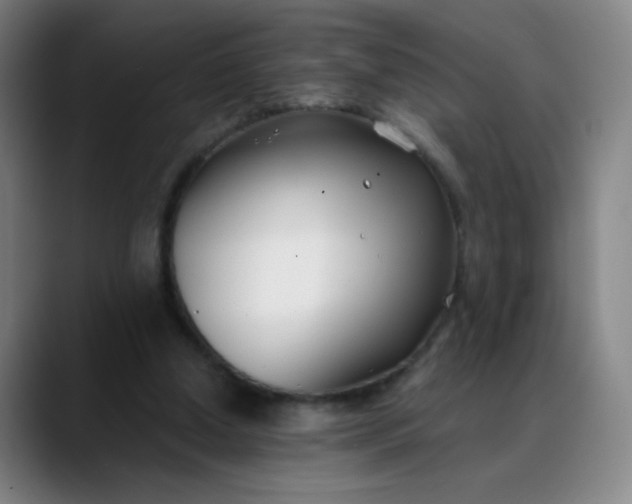 X0000088710250200706141454