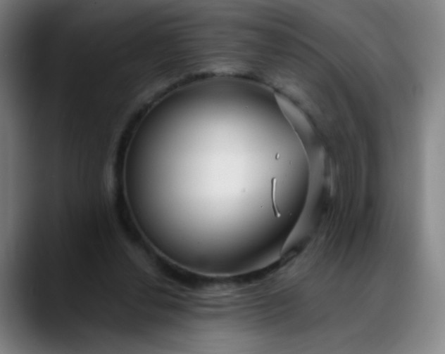 X0000088710252200706141454