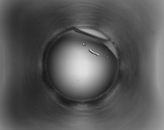 X0000088710256200706141454