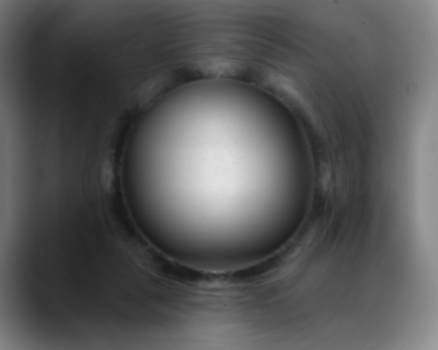 X0000088710259200706141454