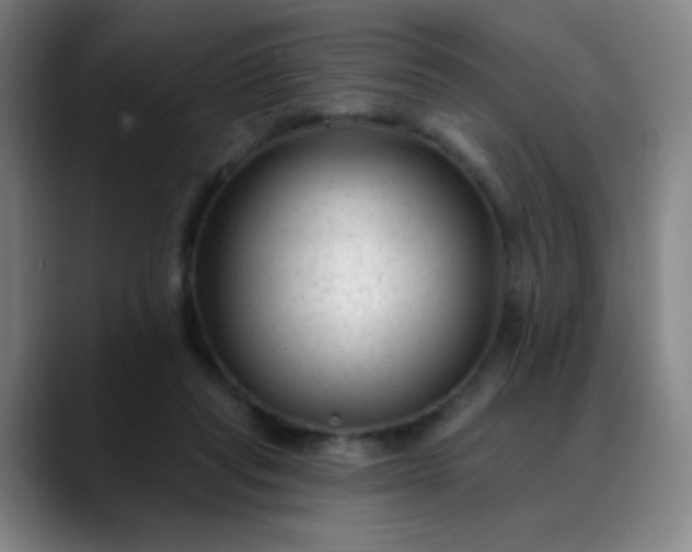 X0000088710261200706141454