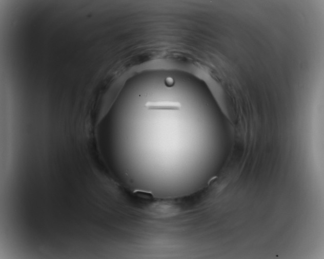 X0000088710280200706141454