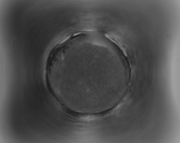 X0000088710293200706141453