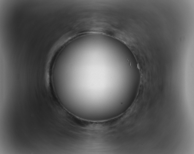 X0000088710294200706141453