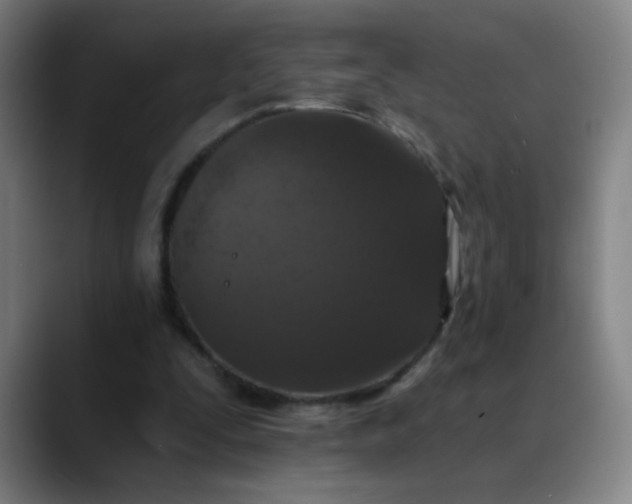 X0000088710295200706141453