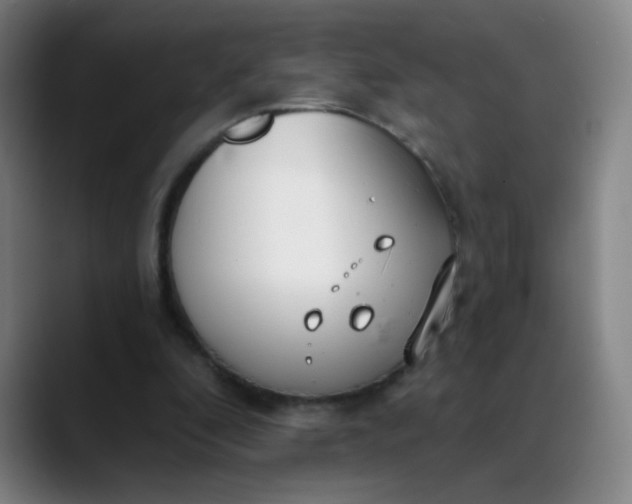 X0000088710296200706141453