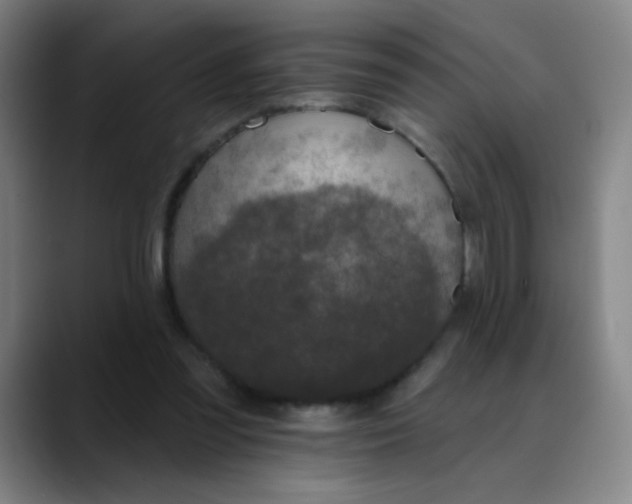 X0000088710301200706141453