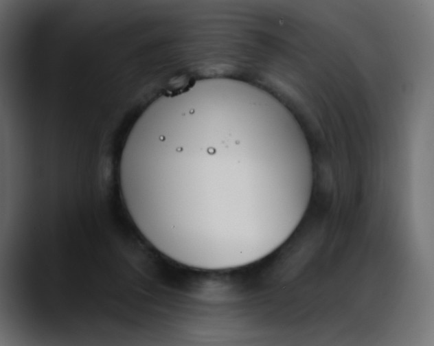 X0000088710308200706141453